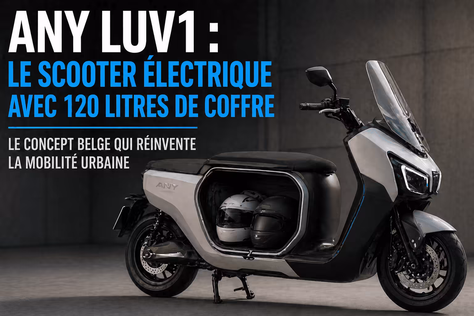 Scooter électrique any luv1