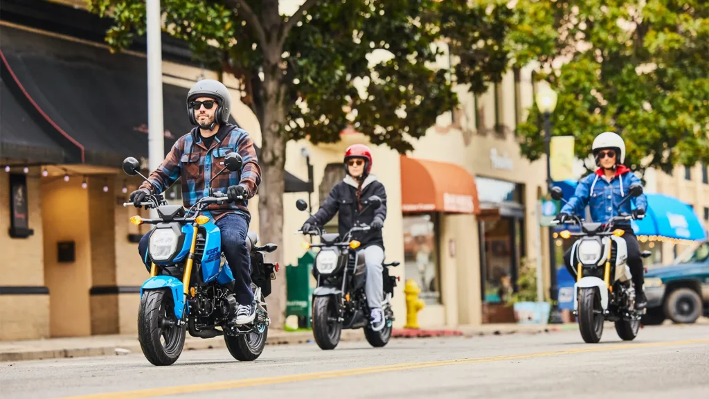 Honda MSX 125 : Avis, Fiche Technique & Modèle 2025 fb r w