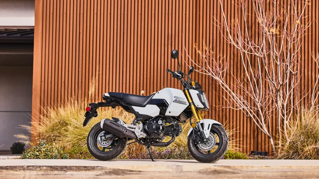 Honda MSX 125 : Avis, Fiche Technique & Modèle 2025 fb r w 5