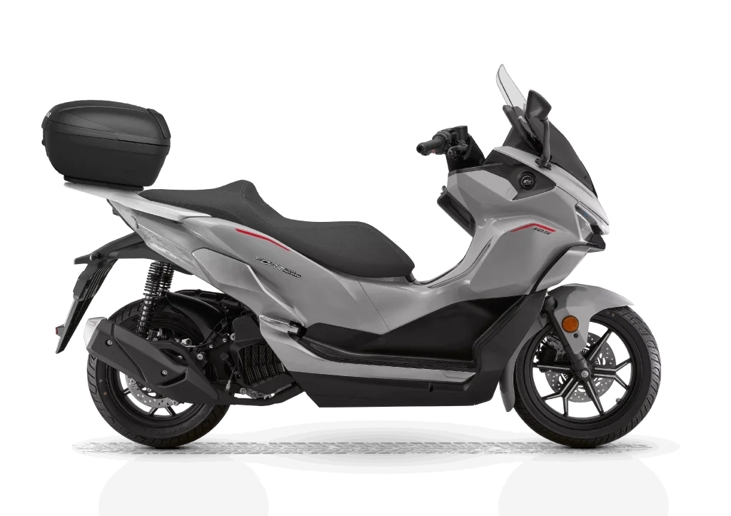 FORT 125 Gray 1202x849 Top Case 5008x3538 c default